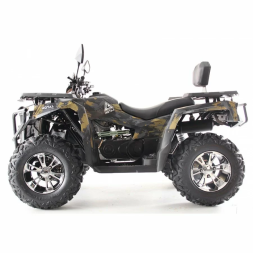 Квадроцикл MOTAX ATV Grizlik 300, фото 9