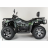 Квадроцикл MOTAX ATV Grizlik 300
