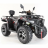 Квадроцикл MOTAX ATV Grizlik 300