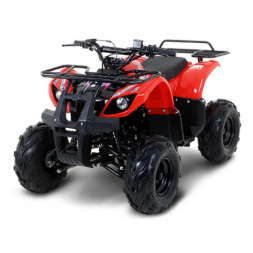 Квадроцикл Русская Механика (RM) РЫСЬ 110U