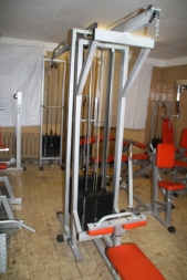 В-103 3-х позиционная станция (блок верхний + нижний + бицепс-трицепс станция) В-103 3-х позиционная станция (блок верхний + нижний + бицепс-трицепс станция)