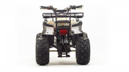 Квадроцикл MOTOLAND 125 Fox, фото 7