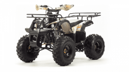 Квадроцикл MOTOLAND 125 Fox, фото 1