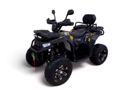 Квадроцикл MOTAX Grizlik W200 LUX