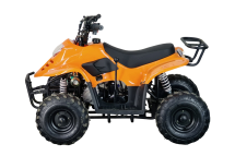 Квадроцикл STALKER 110 Квадроцикл STALKER 110