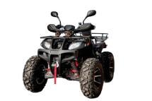 Квадроцикл GRIZZLY 250 Квадроцикл GRIZZLY 250