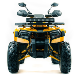 Квадроцикл MOTOLAND 200 Wild Track X Pro (Баланс. вал) (2021 Г.), фото 7