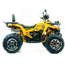 Квадроцикл MOTOLAND 200 Wild Track X Pro (Баланс. вал) (2021 Г.)