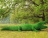 Топиари крокодил Нельсон - газон Eco + Eco Green