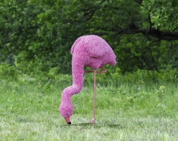 Топиари Фламинго розовый шея изогнута, на водопое - газон Eco, фото 2