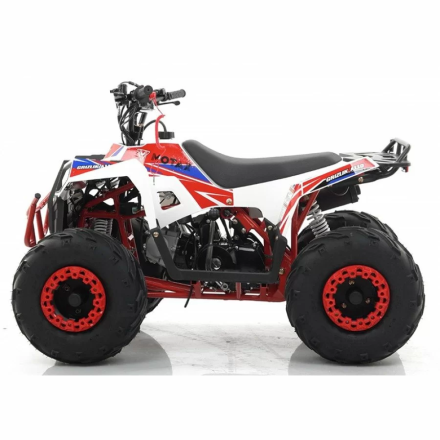 Квадроцикл MOTAX ATV Grizlik A110, фото 19