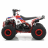 Квадроцикл MOTAX ATV Grizlik A110