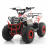 Квадроцикл MOTAX ATV Grizlik A110