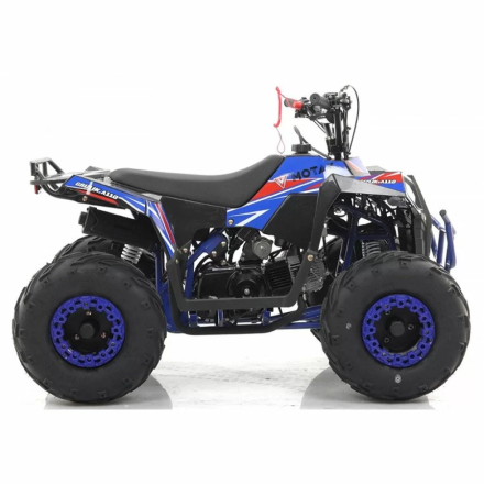 Квадроцикл MOTAX ATV Grizlik A110, фото 11