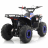 Квадроцикл MOTAX ATV Grizlik A110