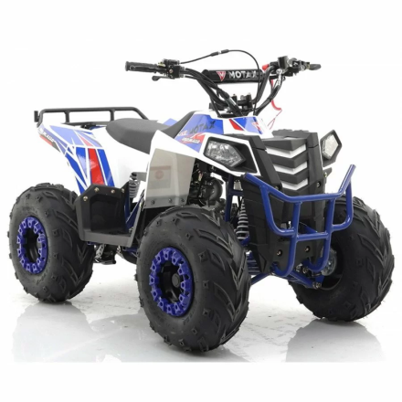 Квадроцикл MOTAX ATV Grizlik A110, фото 6
