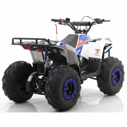 Квадроцикл MOTAX ATV Grizlik A110, фото 4