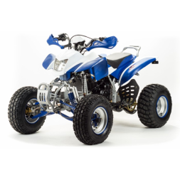 Квадроцикл Motoland DAKAR 250