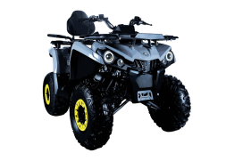 Квадроцикл AVANTIS Forester Long 200 Basic, фото 2