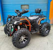 Квадроцикл GRIZZLY 300 (4WD) Квадроцикл GRIZZLY 300 (4WD)
