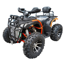 Квадроцикл GRIZZLY 300 (4WD) Квадроцикл GRIZZLY 300 (4WD)