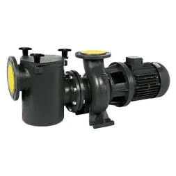 Насос с префильтром Saci Pumps CF-2 1500, фото 1