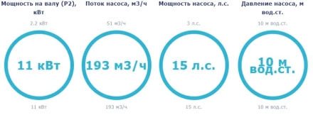 Насос с префильтром Saci Pumps CF-2 1500, фото 2