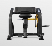 BRONZE GYM PL-1713 Бицепс