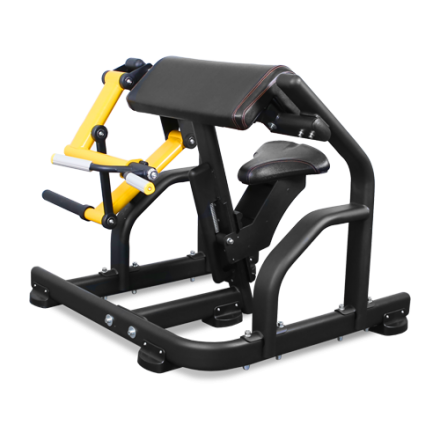 BRONZE GYM PL-1713 Бицепс, фото 1