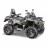 Квадроцикл STELS ATV010 (TE) ГЕПАРД 2.0 K01 EPS GN