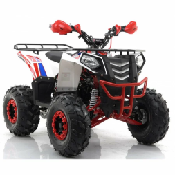Квадроцикл MOTAX ATV Grizlik A125, фото 7