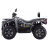 Квадроцикл Dazzle EXR 300