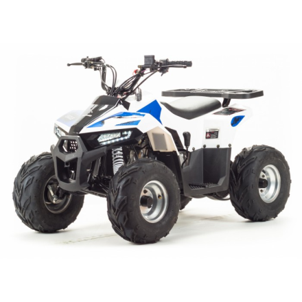 Квадроцикл Motoland EAGLE 110, фото 1