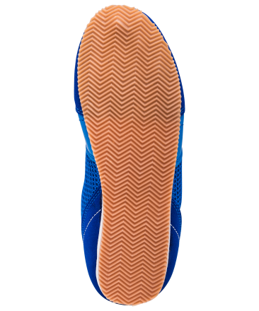 Обувь для бокса PS006 низкая, синий, фото 5