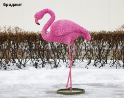 Топиари фламинго, Арина - газон Eco, фото 5