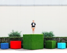 Топиари композиция геометрические фигуры Кубы и пирамида - газон Eco