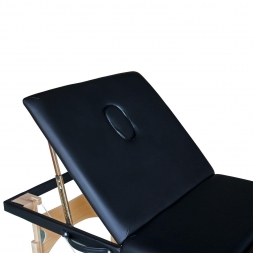 Массажный стол DFC NIRVANA Relax Pro TS3021_B1, фото 2