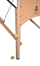 Массажный стол DFC NIRVANA Relax Pro TS3021_B1