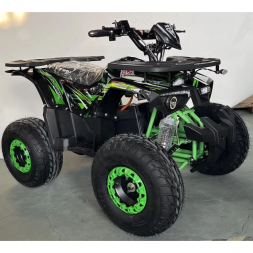 Квадроцикл MOTAX ATV GRIZLIK E1500, фото 4