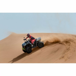 Квадроцикл Segway AT5 LX, фото 14 Квадроцикл Segway AT5 LX, фото 14