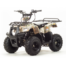 Квадроцикл Motoland RIDER 110