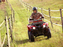 Квадроцикл YAMAHA Segway 300, фото 2