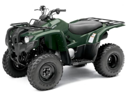 Квадроцикл YAMAHA Segway 300, фото 1