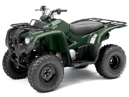 Квадроцикл YAMAHA Segway 300, фото 1