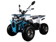 Квадроцикл AVANTIS Aura 125 Lux Квадроцикл AVANTIS Aura 125 Lux