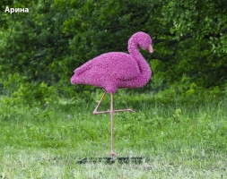 Топиари фламинго, Карина - газон Eco, фото 3