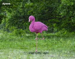 Топиари фламинго, Карина - газон Eco, фото 4