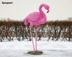 Топиари фламинго, Карина - газон Eco, фото 6