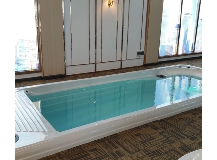 Плавательный Спа Бассейн JNJ Spas Swim Pro SPA-8278, фото 4