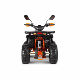 Квадроцикл YACOTA SIRIUS 110, фото 8